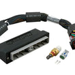 Load image into Gallery viewer, Haltech Elite 2000/2500 Plug-n-Play Adaptor Harness