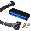 Load image into Gallery viewer, Haltech Elite 2000/2500 Plug-n-Play Adaptor Harness
