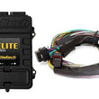 Load image into Gallery viewer, Haltech Elite 2500 Basic Universal Wire-In Harness ECU Kit - Side View