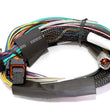 Load image into Gallery viewer, Haltech Elite 2500 Basic Universal Wire-In Harness ECU Kit - Detail View