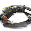 Load image into Gallery viewer, Haltech Elite 2500 Basic Universal Wire-In Harness w/o Relays or Fuses - 2.5m (8ft)