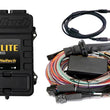 Load image into Gallery viewer, Haltech Elite 2500 Premium Universal Wire-In Harness ECU Kit - Detail View