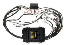 Load image into Gallery viewer, Haltech Elite 2500 Terminated Harness ECU Kit w/EV1 Injector Connectors - Main Product View