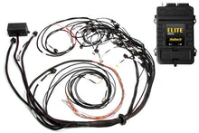 Load image into Gallery viewer, Haltech Elite 2500 Terminated Harness ECU Kit w/EV1 Injector Connectors