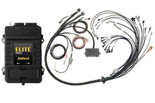 Load image into Gallery viewer, Haltech Elite 2500 Terminated Harness ECU Kit w/EV1 Injector Connectors