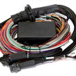 Load image into Gallery viewer, Haltech Elite 2500/2500 T Premium Universal Wire-In Harness - 2.5m (8ft)