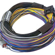 Load image into Gallery viewer, Haltech Elite 750 Basic Universal Wire-In Harness - 2.5m (8ft)