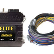Load image into Gallery viewer, Haltech Elite 750 Basic Universal Wire-In Harness ECU Kit - Side View