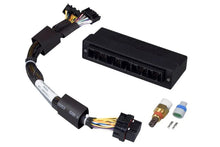 Load image into Gallery viewer, Haltech Elite 750 Plug-n-Play Adaptor Harness - Main Product View