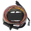Load image into Gallery viewer, Haltech Elite 750 Premium Universal Wire-In Harness - 2.5m (8ft)