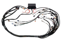 Load image into Gallery viewer, Haltech GM GEN IV (LS2/LS3) DBW Ready Elite 2500 Terminated Harness w/EV6 Injector Connectors