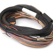Load image into Gallery viewer, Haltech IO 12 Expander Box 8ft Flying Lead Harness (A/B Box)