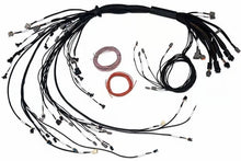 Load image into Gallery viewer, Haltech NEXUS R5 Non DBW Terminated Harness - Injector Connector EV1