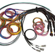 Load image into Gallery viewer, Haltech NEXUS R5 Universal Wire-In Harness - 2.5M (8ft)