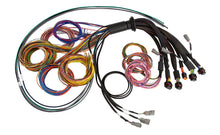 Load image into Gallery viewer, Haltech NEXUS R5 Universal Wire-In Harness - 2.5M (8ft)