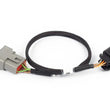 Load image into Gallery viewer, Haltech NEXUS Rebel LS 6-Pin DBW Adaptor - Main Product View