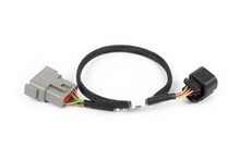 Load image into Gallery viewer, Haltech NEXUS Rebel LS 6-Pin DBW Adaptor - Main Product View