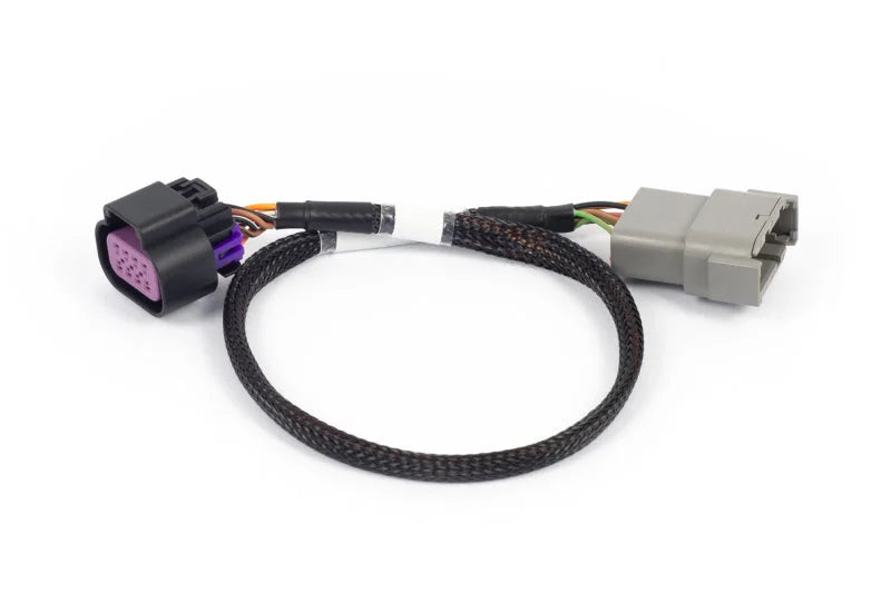 Haltech NEXUS Rebel LS 8-Pin DBW Adaptor - Main Product View