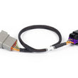 Load image into Gallery viewer, Haltech NEXUS Rebel LS 8-Pin DBW Adaptor - Side View