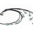Load image into Gallery viewer, Haltech NEXUS Rebel LS EV6 Injector Sub-Harness - Side View