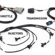 Load image into Gallery viewer, Haltech NEXUS Rebel LS Gen III Cable Throttle/EV1 Injectors/Manual Transmission - Main Product View