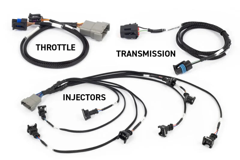 Haltech NEXUS Rebel LS Gen III Cable Throttle/EV1 Injectors/Manual Transmission - Main Product View