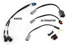 Load image into Gallery viewer, Haltech NEXUS Rebel LS Gen III Cable Throttle/EV1 Injectors/Manual Transmission - Installation View