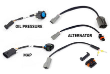 Load image into Gallery viewer, Haltech NEXUS Rebel LS Gen IV 6-Pin DBW Throttle/EV6 Injectors/Manual Transmission - Main Product View