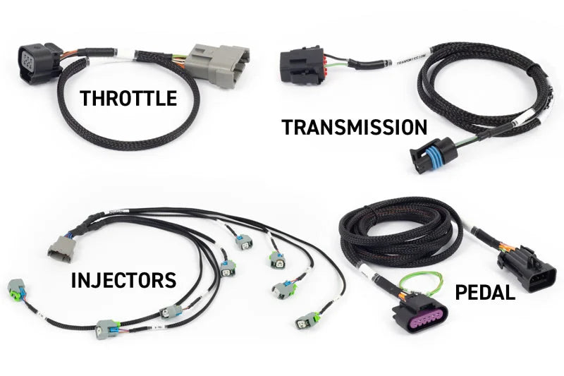 Haltech NEXUS Rebel LS Gen IV 6-Pin DBW Throttle/EV6 Injectors/Manual Transmission - Installation View