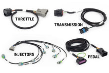 Load image into Gallery viewer, Haltech NEXUS Rebel LS Gen IV 6-Pin DBW Throttle/EV6 Injectors/Manual Transmission - Installation View