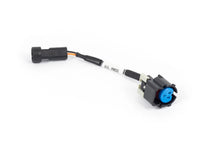 Load image into Gallery viewer, Haltech NEXUS Rebel LS Gen IV Oil Pressure Sensor Adaptor Harness - Side View