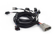 Load image into Gallery viewer, Haltech NEXUS Rebel LS Multec 2 Injector Sub-Harness - Main Product View