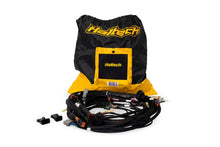 Load image into Gallery viewer, Haltech NEXUS Rebel LS Terminated Harness for ECU - Main Product View
