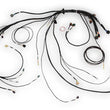 Load image into Gallery viewer, Haltech NEXUS Rebel LS Terminated Harness for ECU - Side View