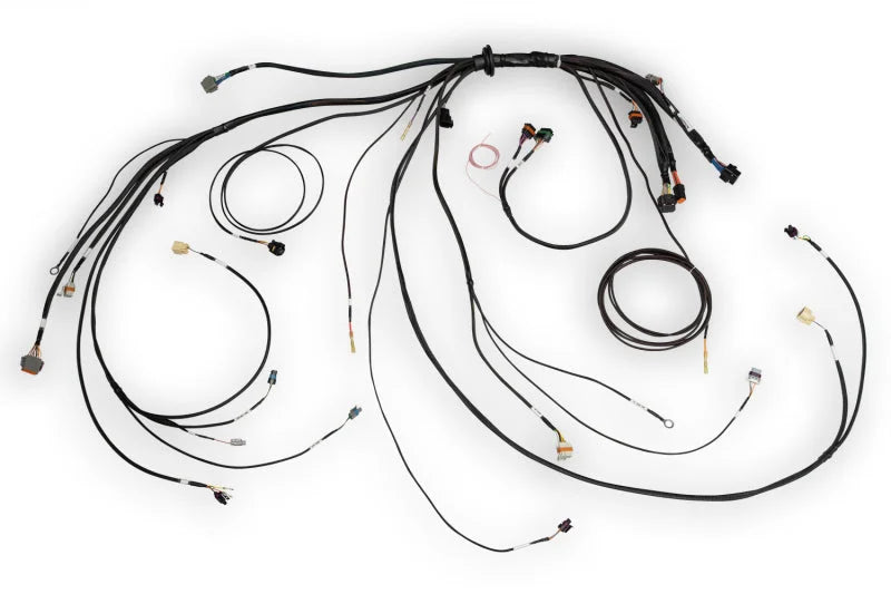 Haltech NEXUS Rebel LS Terminated Harness for ECU - Side View