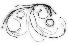 Load image into Gallery viewer, Haltech NEXUS Rebel LS Terminated Harness for ECU - Side View