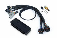 Load image into Gallery viewer, Haltech NEXUS S2/S3 Plug-n-Play Adapter Harness
