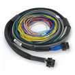Load image into Gallery viewer, Haltech NEXUS S2/S3 Universal Wire-In Harness Kit - 2.5M (8ft)