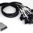 Load image into Gallery viewer, Haltech NEXUS V8 Junior Timer (EV1) Injector Primary Breakout (Plug-n-Play w/HT-186200)