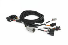 Load image into Gallery viewer, Haltech Nexus Universal Plug-in IO Expansion Harness - 2.5m (8ft)
