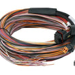 Load image into Gallery viewer, Haltech PD16 Flying Lead Harness 5M