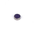 Load image into Gallery viewer, Haltech Rare Earth Magnets (5mm Dia x 2mm H)