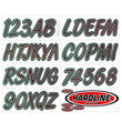Load image into Gallery viewer, Hardline Boat Lettering Registration Kit 3 in. - 400 Burgundy/Black