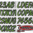 Load image into Gallery viewer, Hardline Boat Lettering Registration Kit 3 in. - 400 Kiwi Green/Black