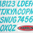 Load image into Gallery viewer, Hardline Boat Lettering Registration Kit 3 in. - 400 Mint Solid