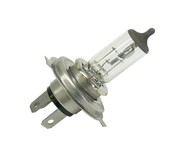 Hella Bulb H4 100/55W