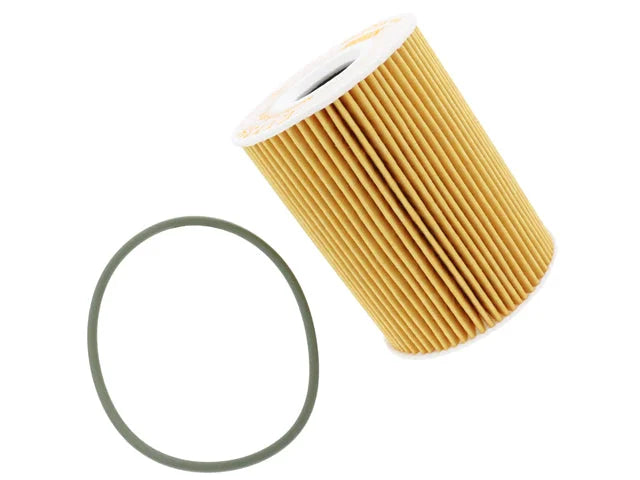 Hengst Oil Filter Kit E113H D235