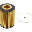 Load image into Gallery viewer, Hengst Oil Filter Kit E71H D141
