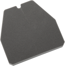 Load image into Gallery viewer, Hiflofiltro Replacement Air Filter - HFA1210 fits Honda - Main Product View