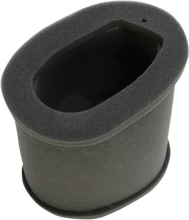 Load image into Gallery viewer, Hiflofiltro Replacement Air Filter - HFA2202 fits Kawasaki - Main Product View